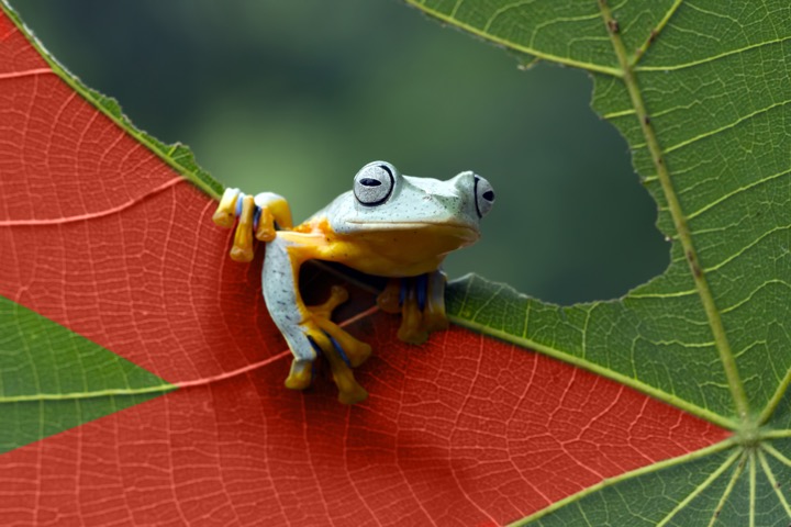 Sustainability at Magnus Consulting