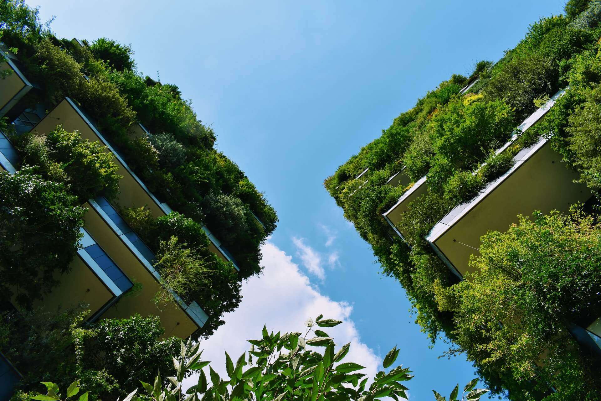A sustainable collection of structures featuring thriving plant life.