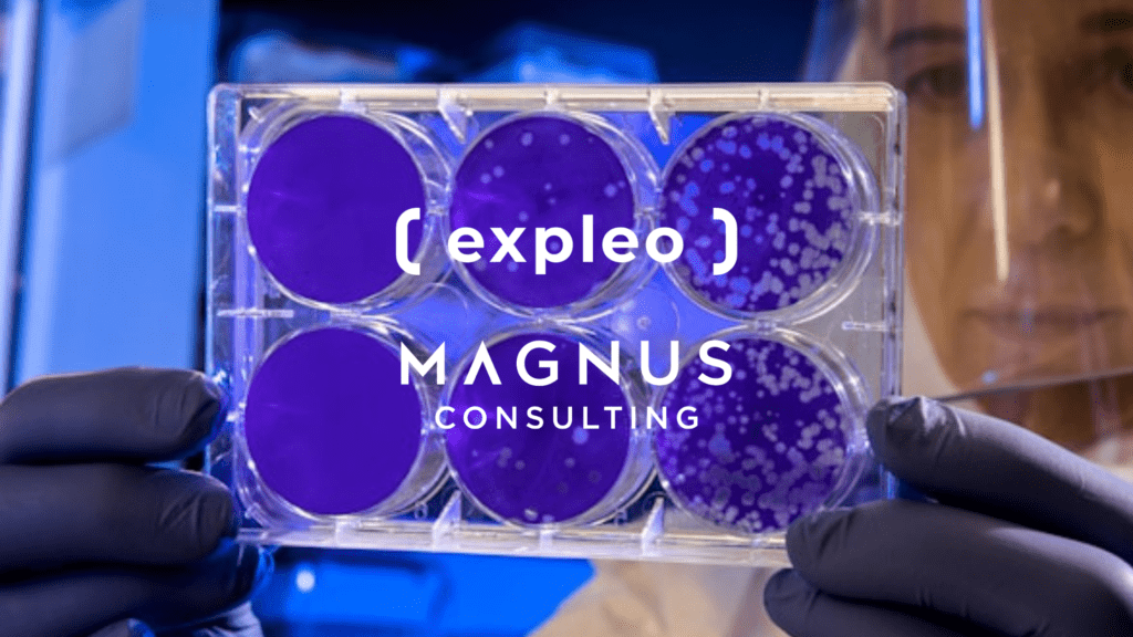 Petri dish image for marketing go to market strategy blog