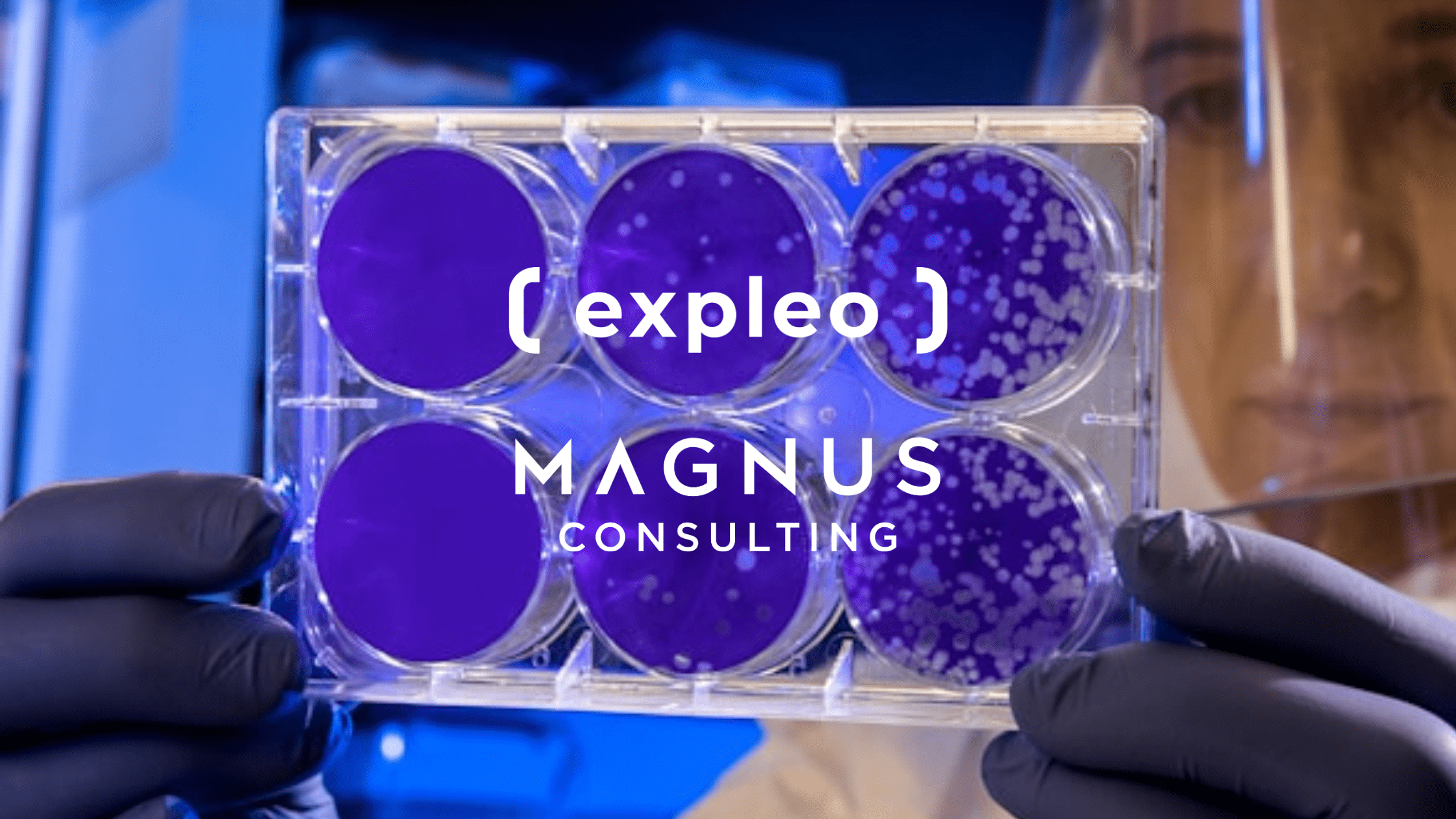 Petri dish image for marketing go to market strategy blog